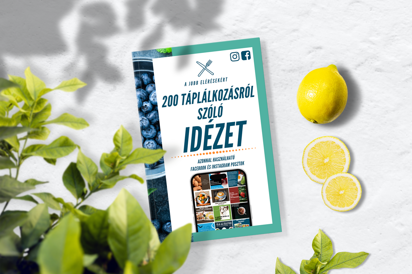 400 poszt az Egészséges Táplálkozásról