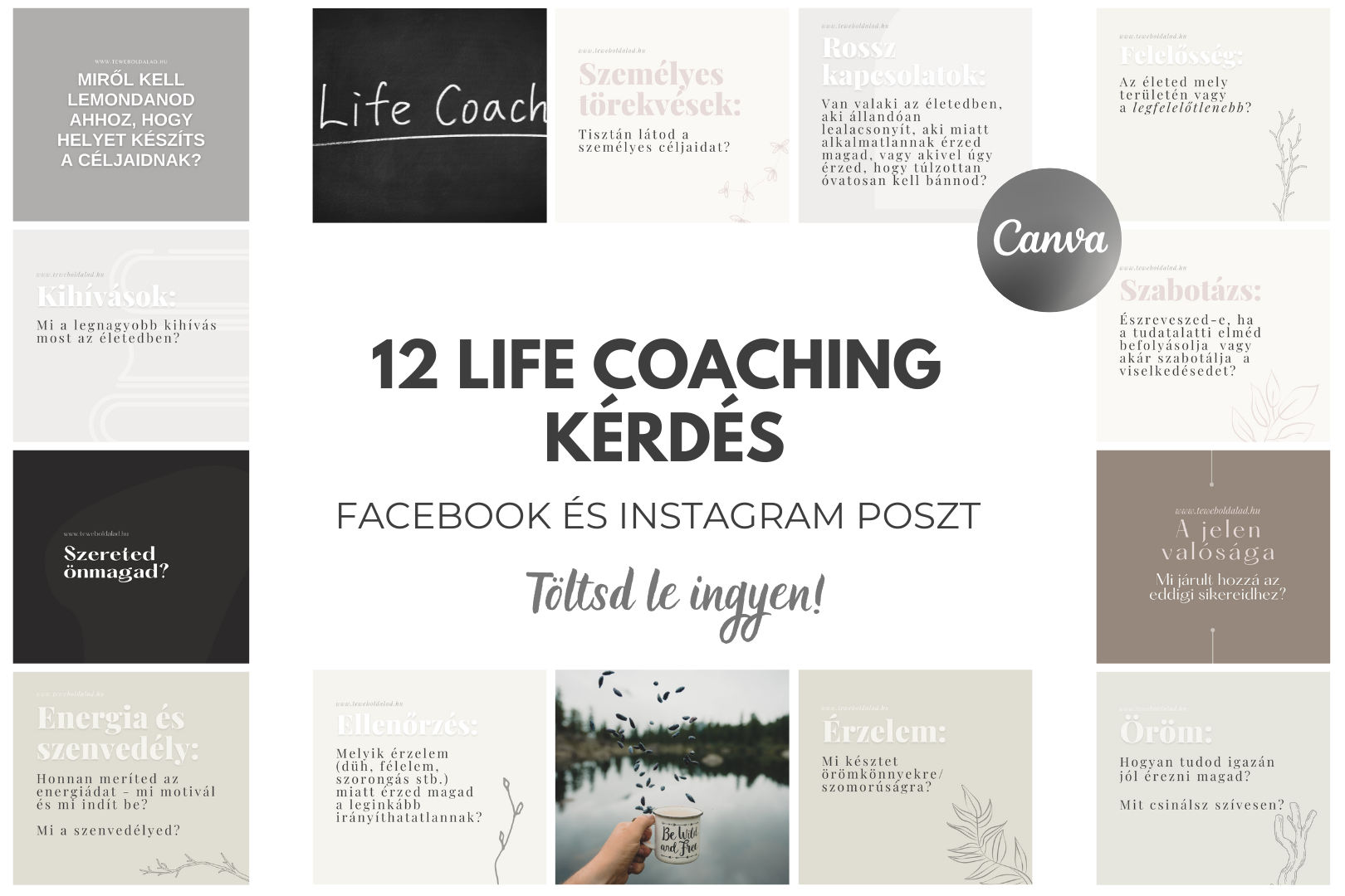 12 Life Coaching Kérdés Amit Fel Kell Tenned üzleti Oldaladon Social Media Posztok